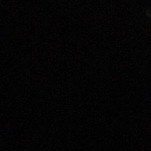 Meet your Posher, Rose